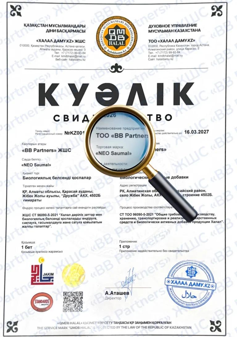 Certificate with a circular logo and bold Kazakh text, magnified by a gold-rimmed magnifying glass over 'TOO «BB Partners»' and 'NEO Saumal'