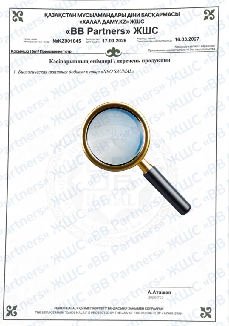 Kazakhstan halal certificate page for 'BB Partners' with a large magnifying glass graphic over the text