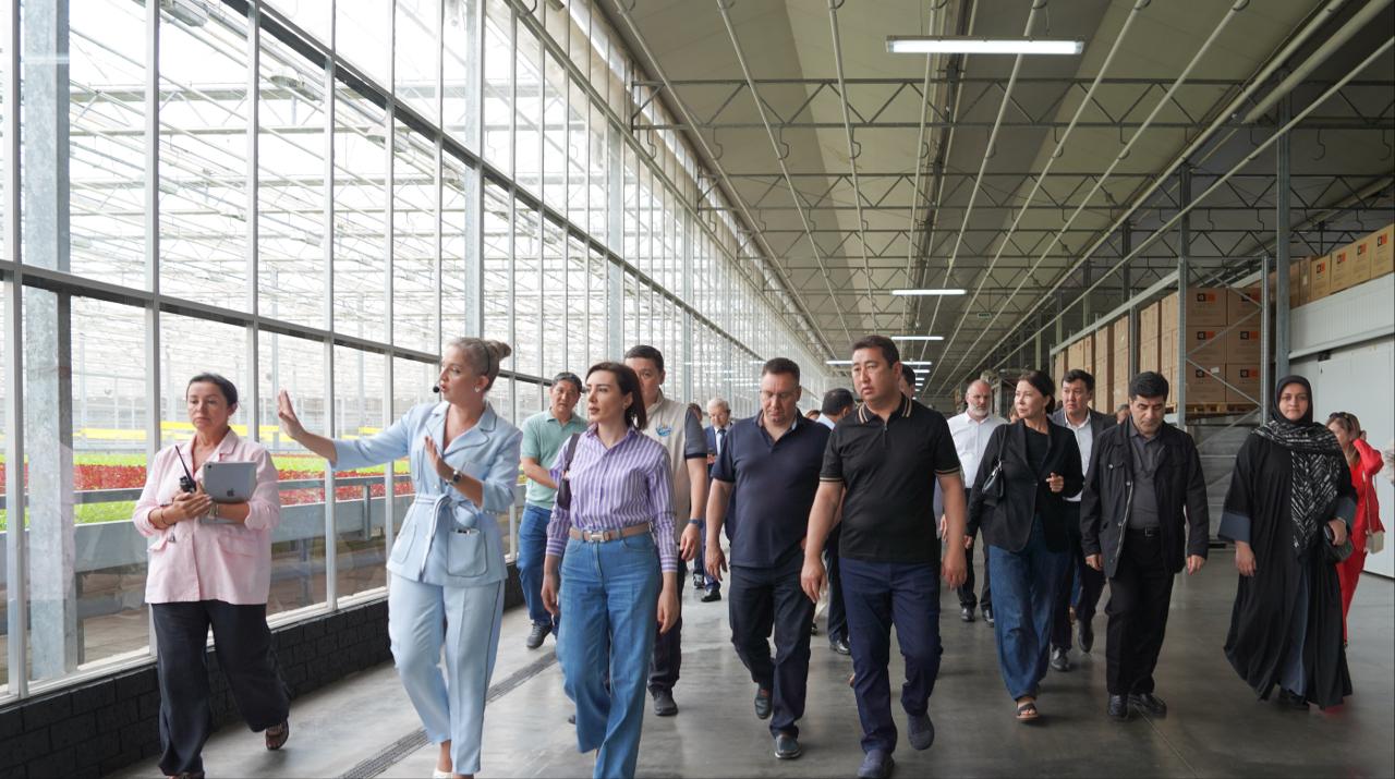 Group of diverse professionals on a guided tour through a bright warehouse with large windows on the left edge of the frame.