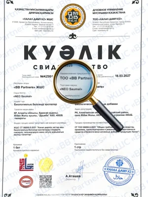 Certificate with a circular logo and bold Kazakh text, magnified by a gold-rimmed magnifying glass over 'TOO «BB Partners»' and 'NEO Saumal'
